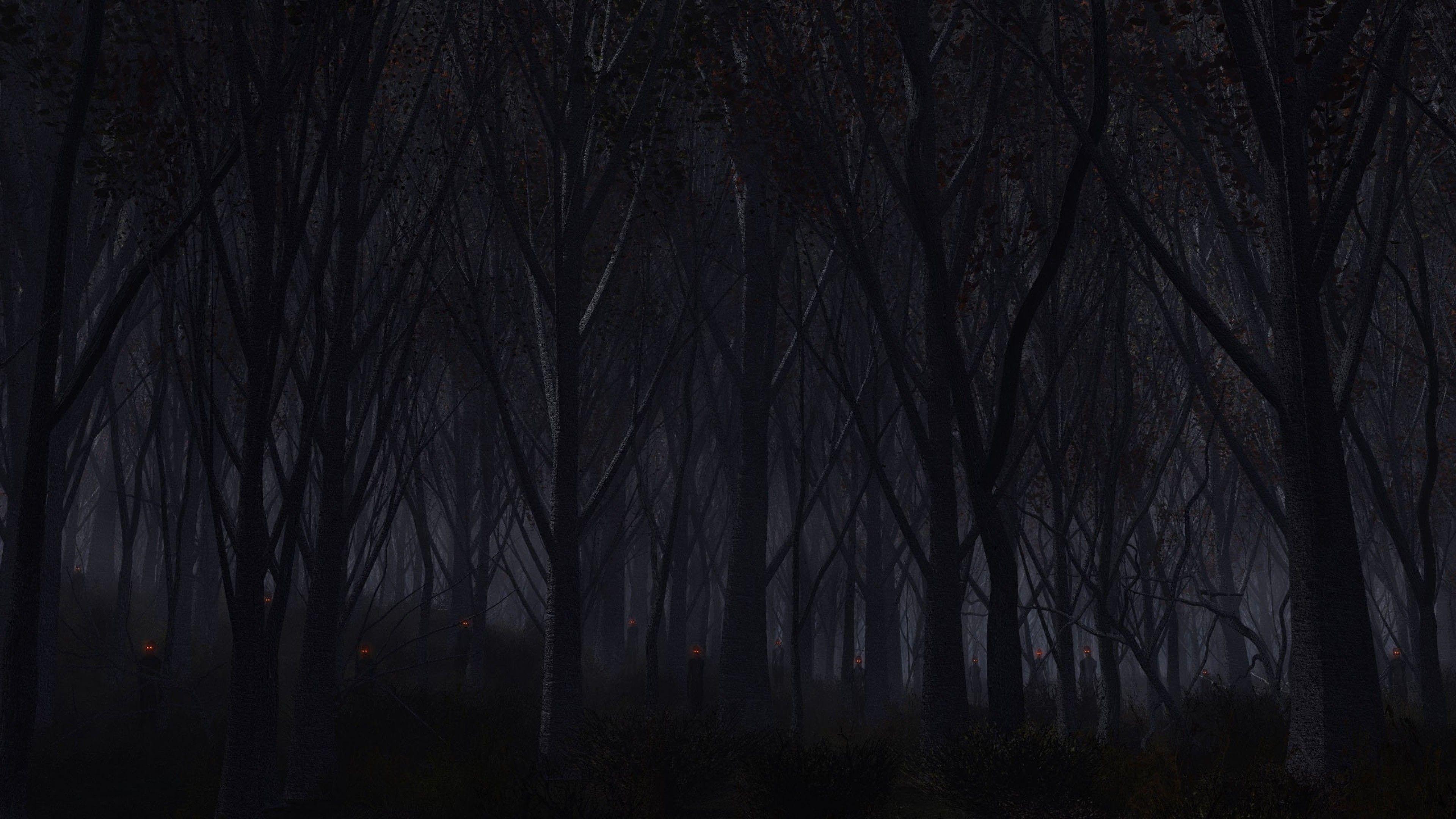 3840x2160 Dark Forest Background