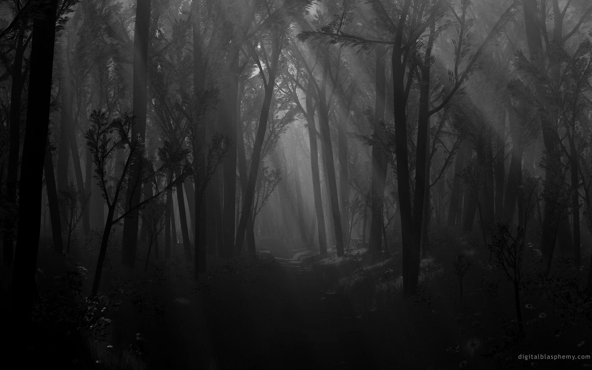 1920x1200 Dark Forest 1457 - Dark Forest HD