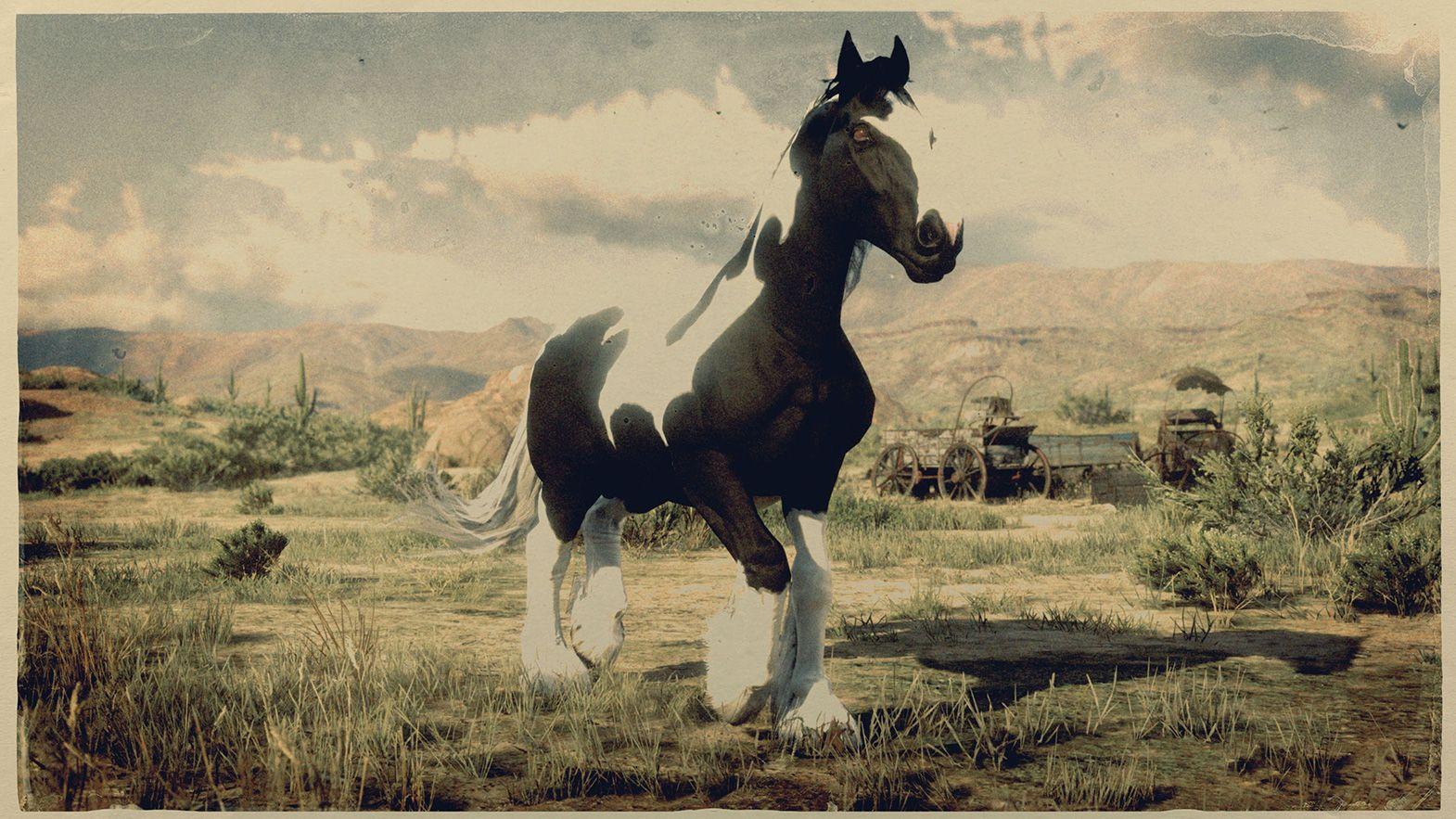 1570x883 Gypsy Cob Horse Dead Redemption 2 Horse Breeds Guide Dead Redemption 2 Animals Species & Wildlife Database Dead Redemption 2