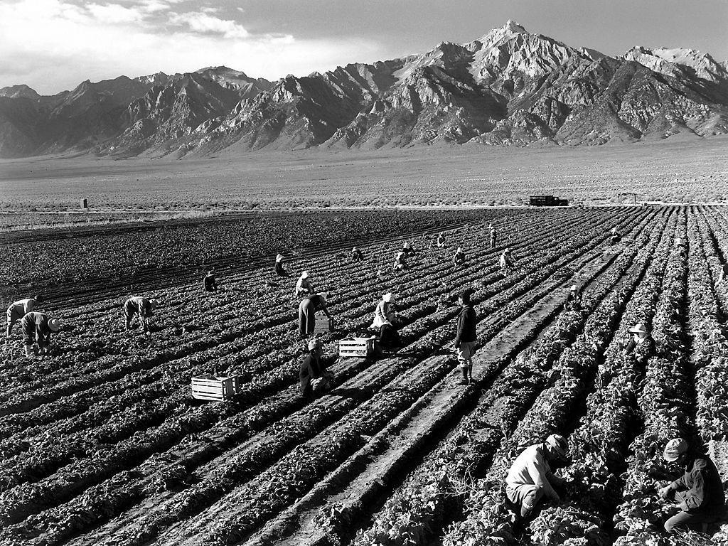 1024x768 Ansel Adams workers and Mt
