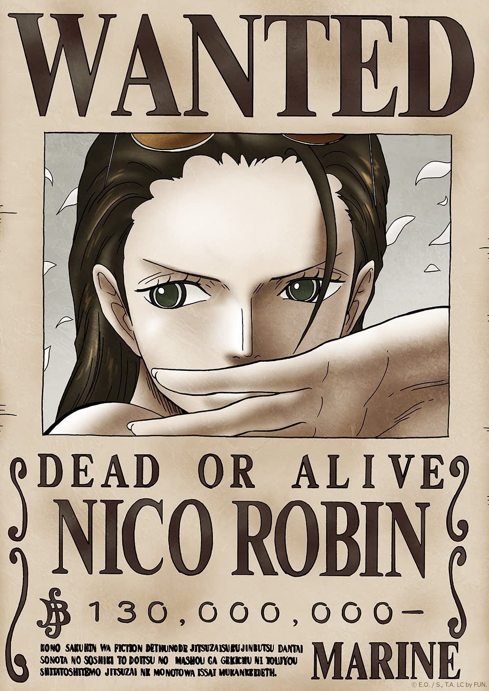 One Piece Wanted Poster Updated