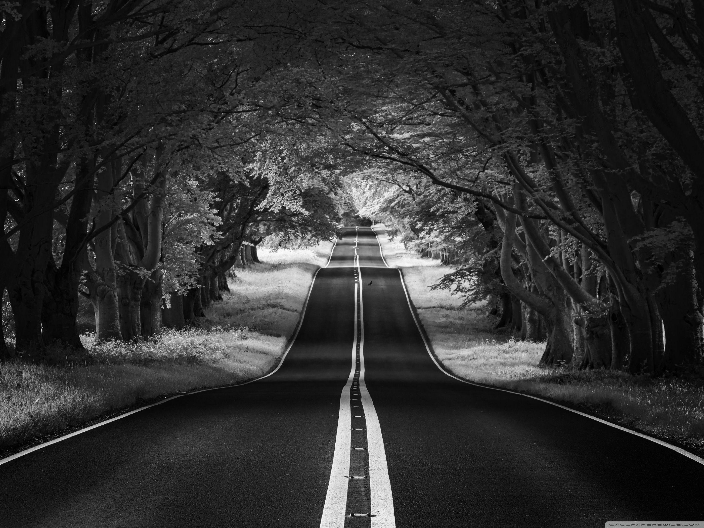 Black Landscape Wallpapers Top Free Black Landscape Backgrounds 