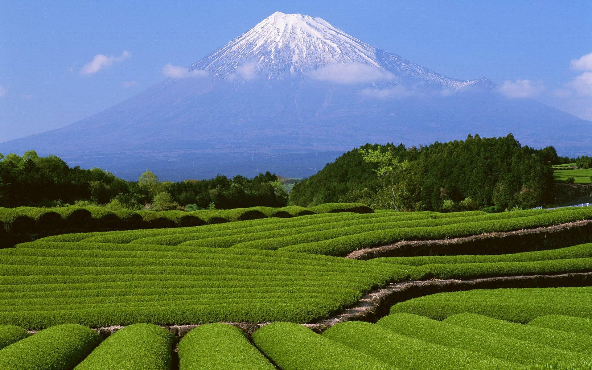1920x1200 Natural Beautiful Image