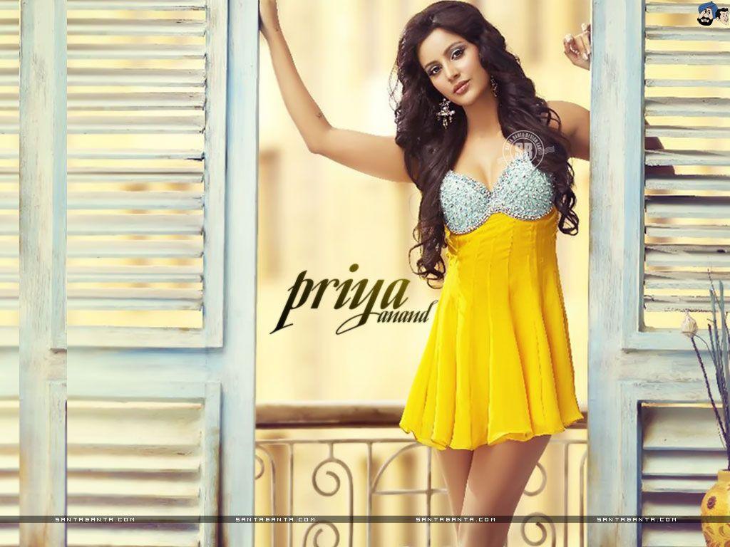 1024x768 Priya Anand Hot HD Wallpaper from Movie Ethir Neechal Celebrity