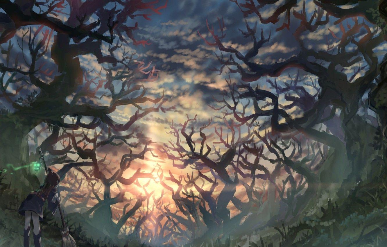 1332x850 Wallpaper forest, girl, sunset, Little Witch Academia, Kagari Atsuak image for desktop, section арт