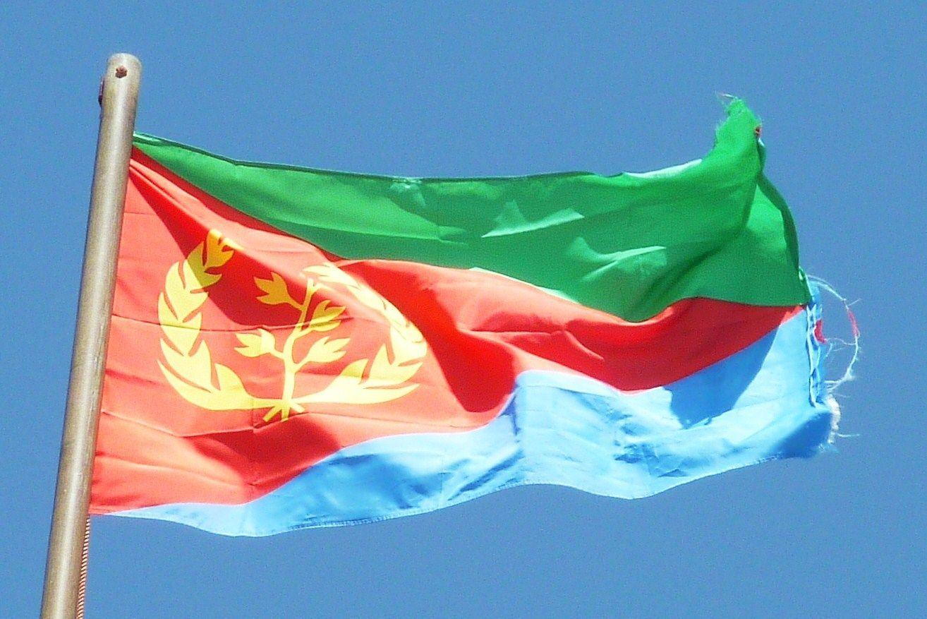 1314x877 Eritrea Gives Aid To Japan