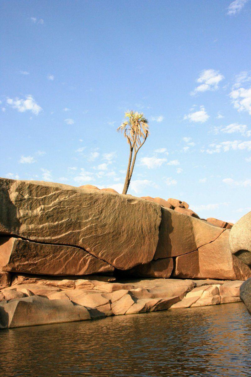 800x1200 gashbark