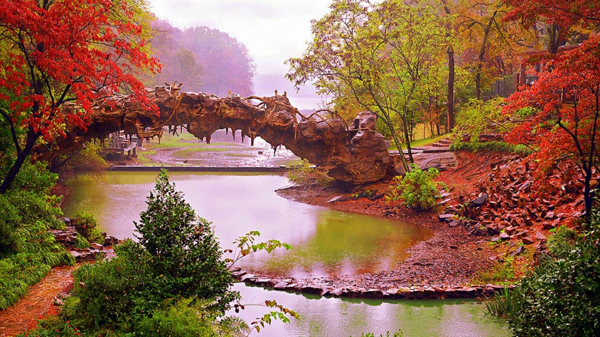 1920x1080 Rivers: Little Trees Attractions Nature Pre Photography Creative