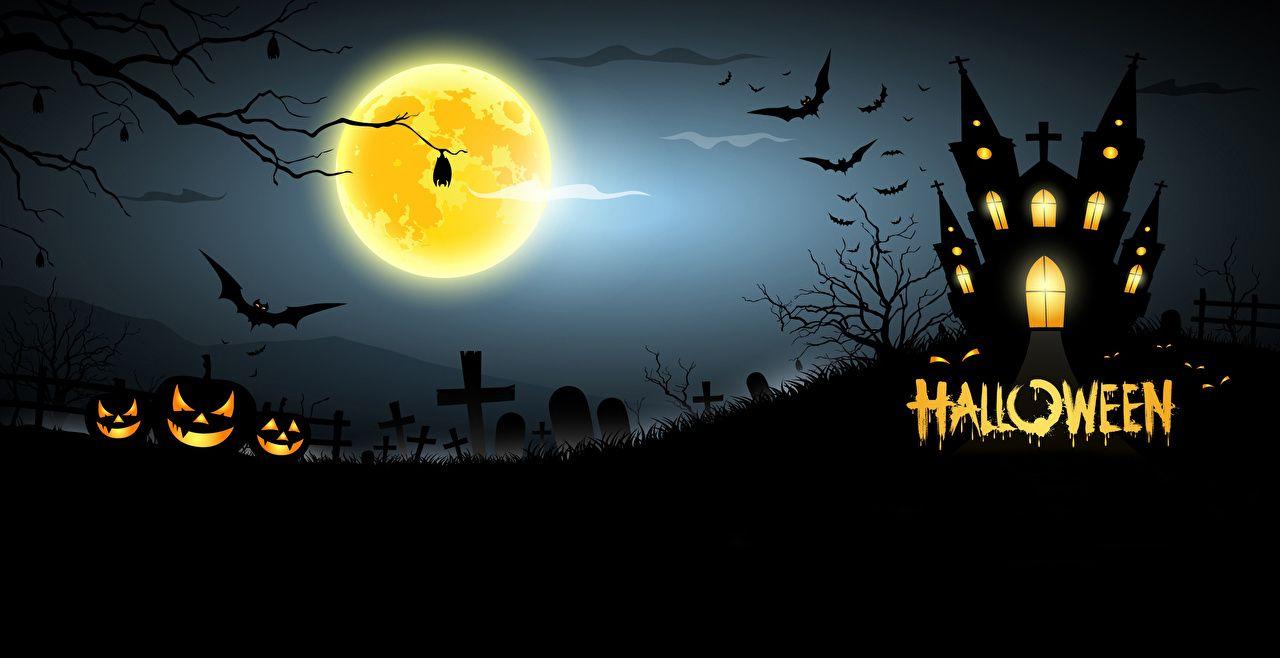 1280x658 Photos Bats Castles Halloween Moon night time Holidays