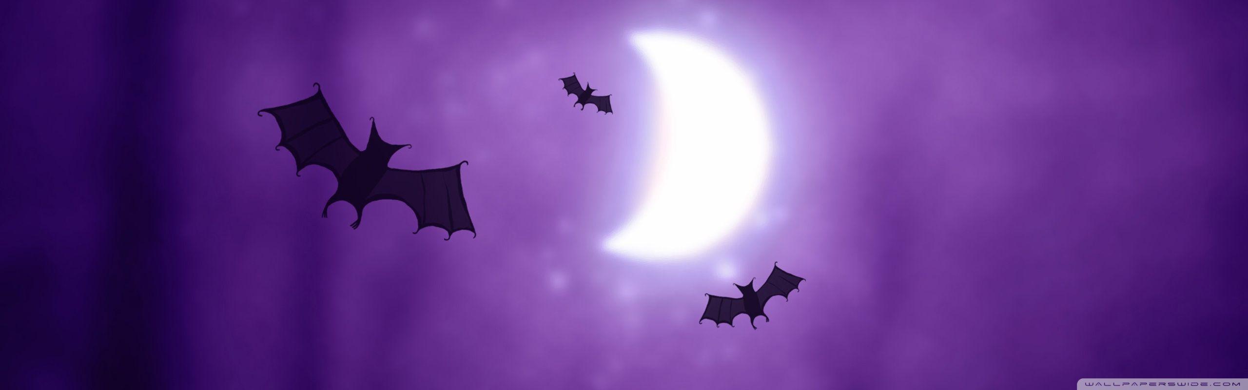 2560x800 Bats Halloween Ultra HD Desktop Background Wallpaper for : Multi Display, Dual Monitor : Tablet