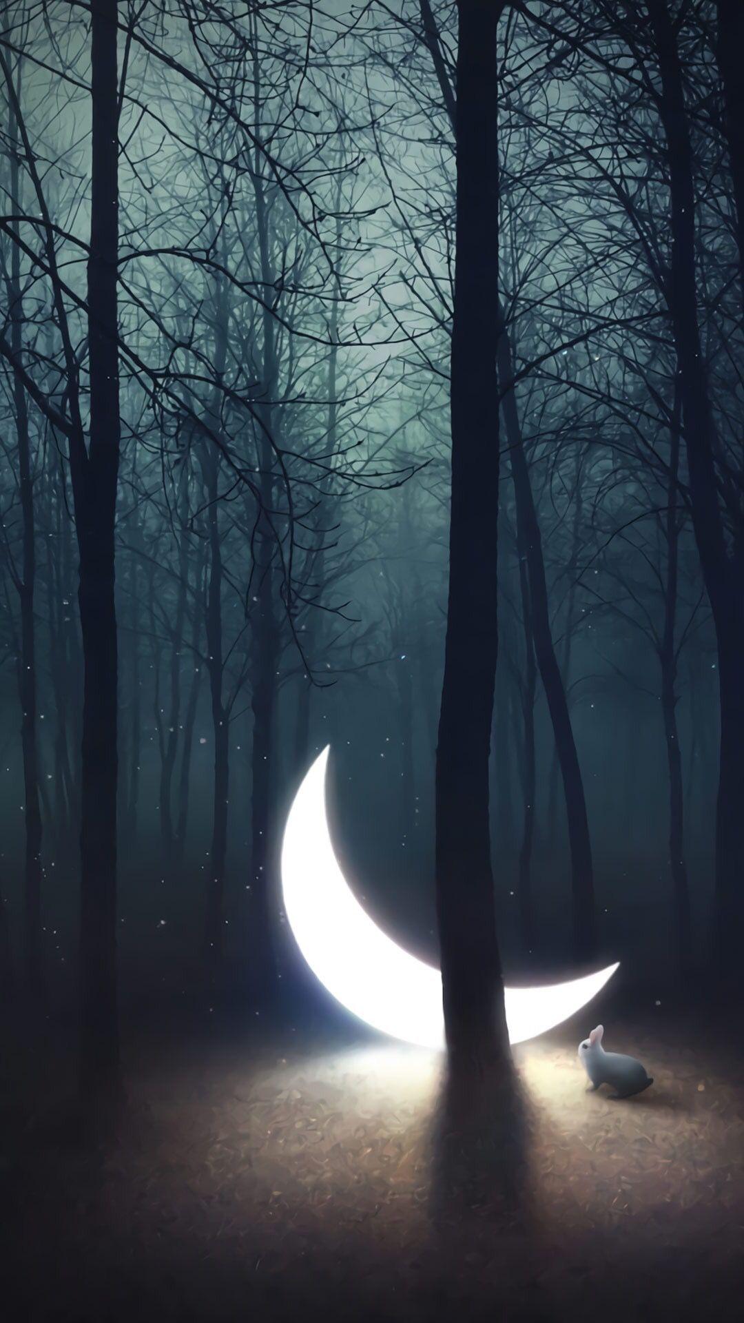 1080x1920 Bunny rabbit phone wallpaper. iPhone wallpaper tumblr aesthetic, Best iphone wallpaper, Tumblr iphone wallpaper