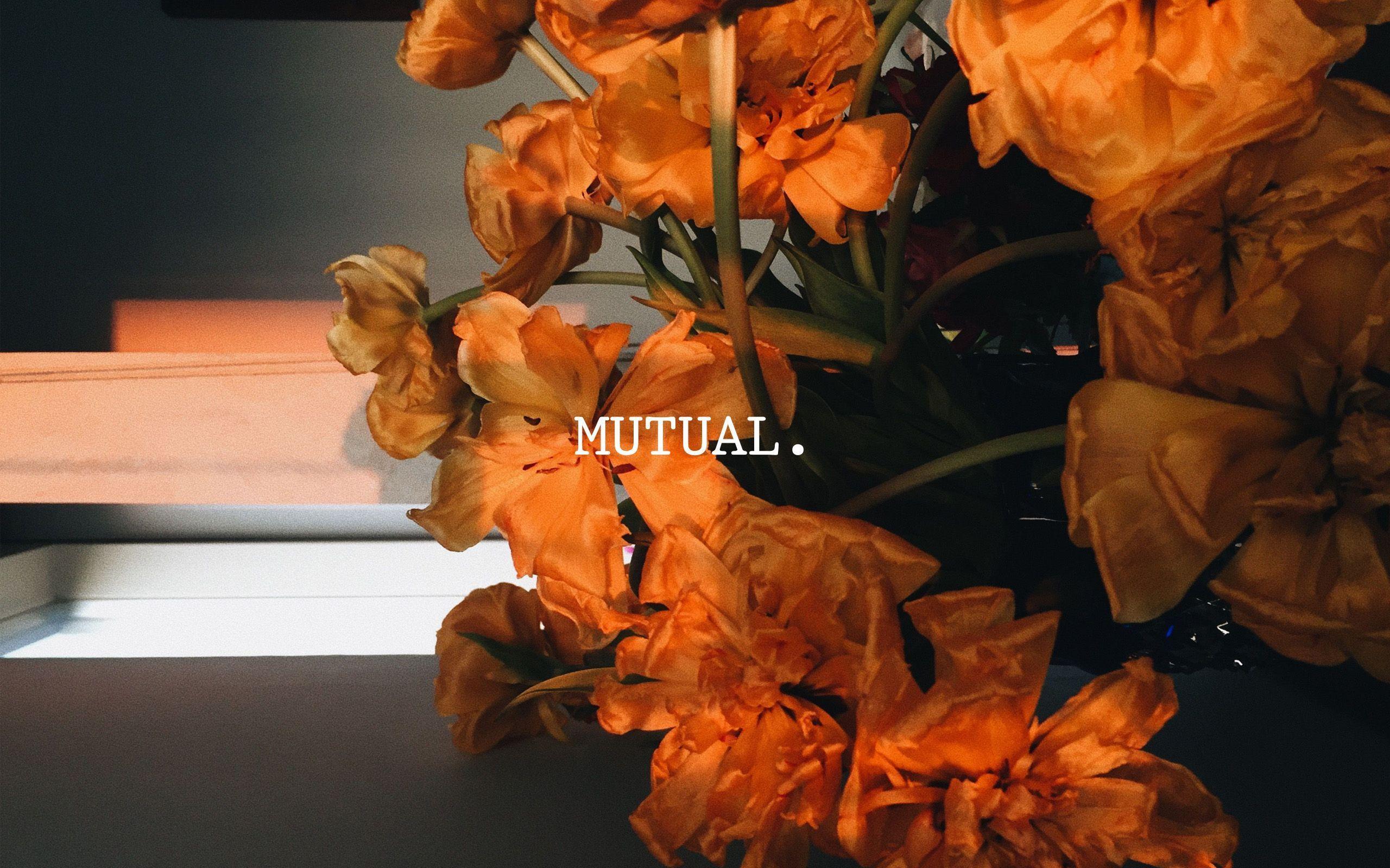 2560x1600 mutual macbook wallpaper. Macbook wallpaper, Aesthetic desktop wallpaper, Desktop wallpaper macbook