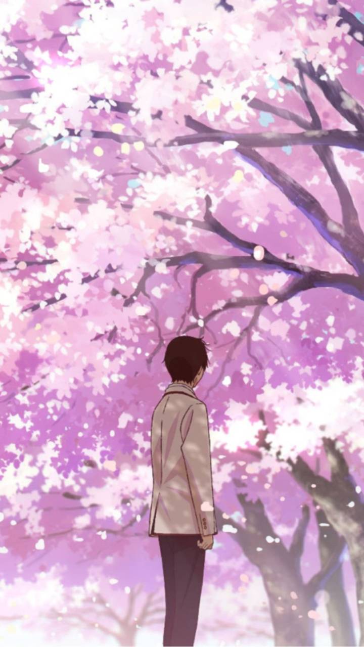 720x1280 haruki wallpaper