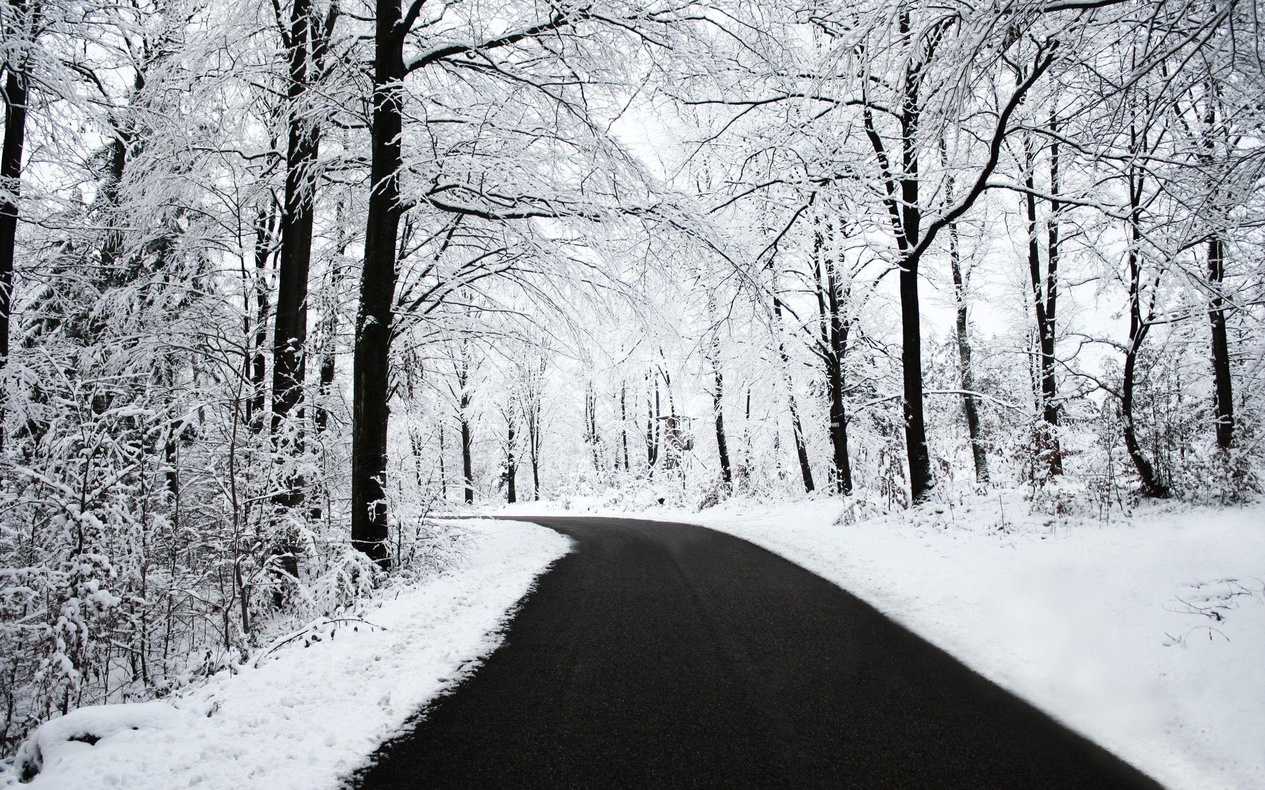 2560x1600 road, Snow, Black, White, Winter, Forest, Nature Wallpaper HD / Desktop and Mobile Background