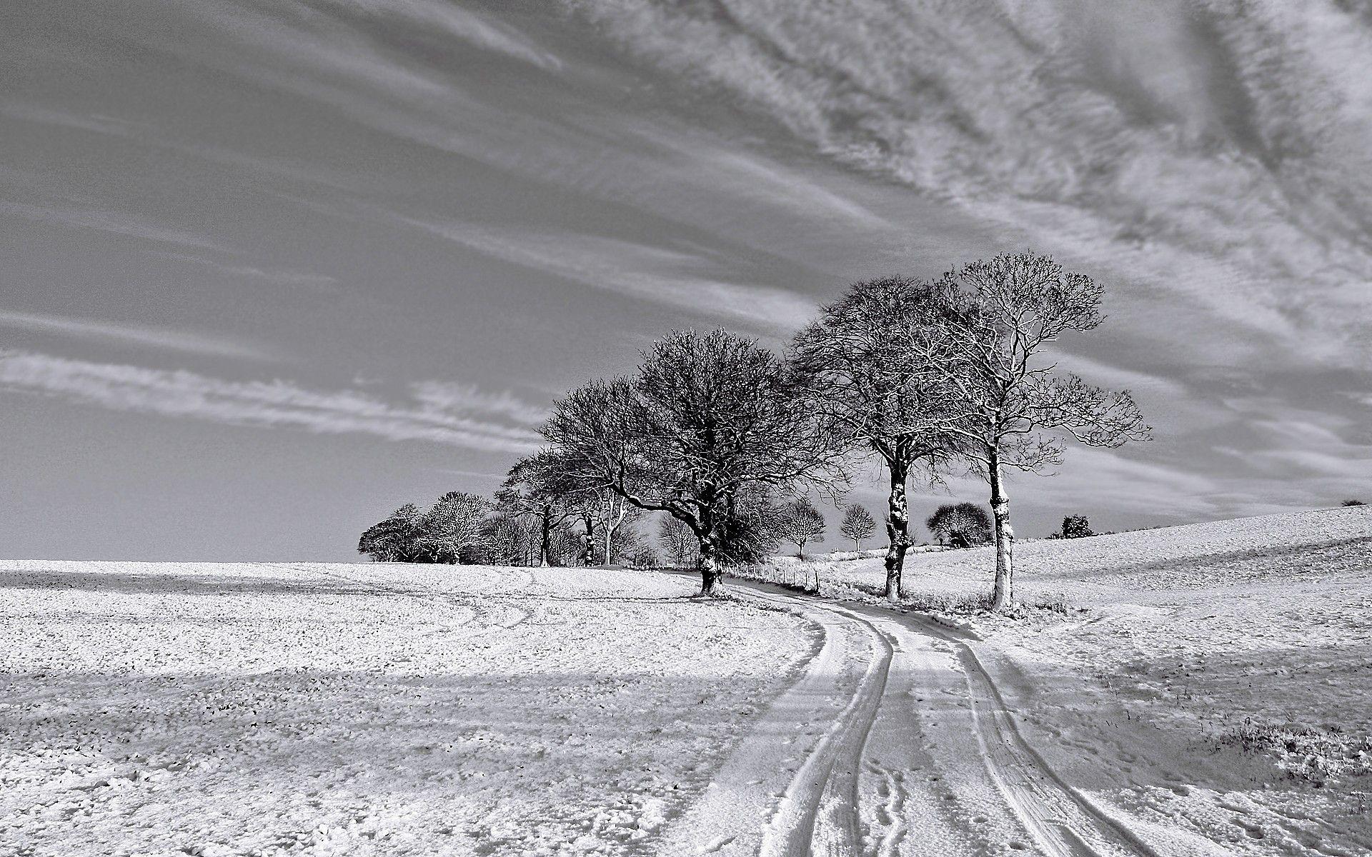 1920x1200 Black and White Winter wallpaper. Black and White Winter