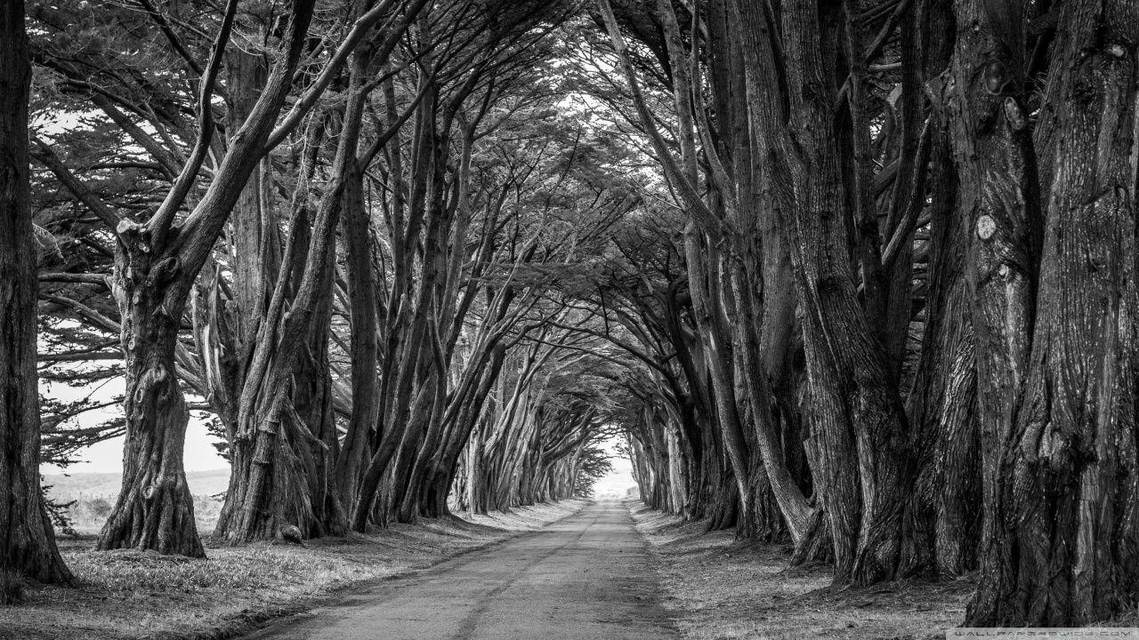 1280x720 Black And White Wallpaper Desktop Background