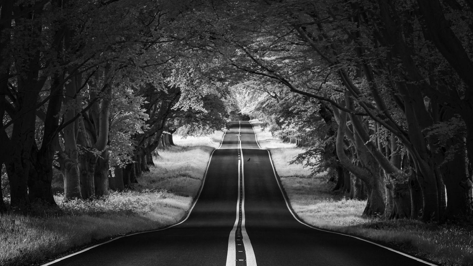 1920x1080 Road Landscape, Aesthetic, Black And White Download HQ Wallpaper