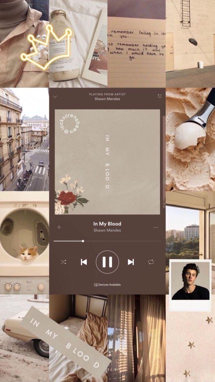 720x1280 Shawn Mendes Aesthetic Wallpaper shared