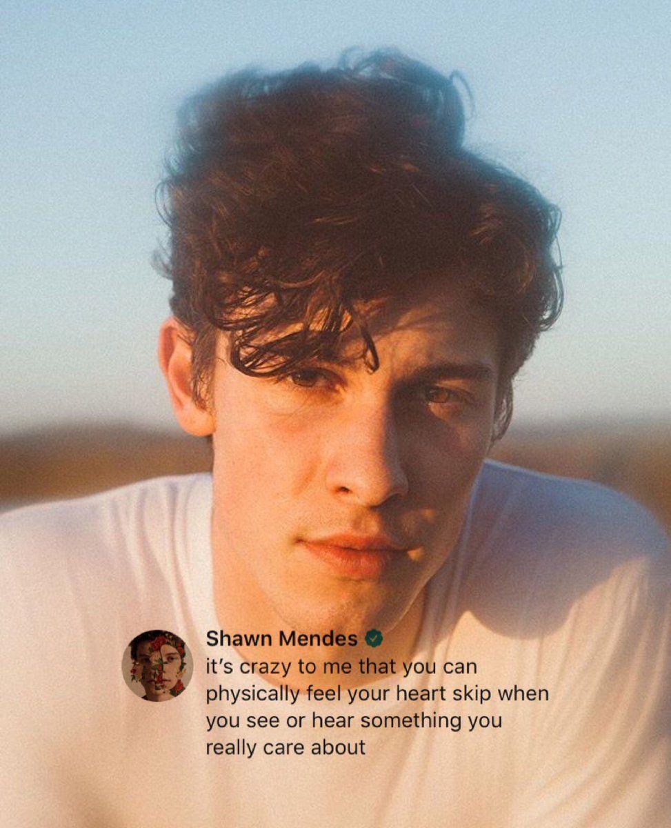 973x1200 ShawnMendesTheTourNA