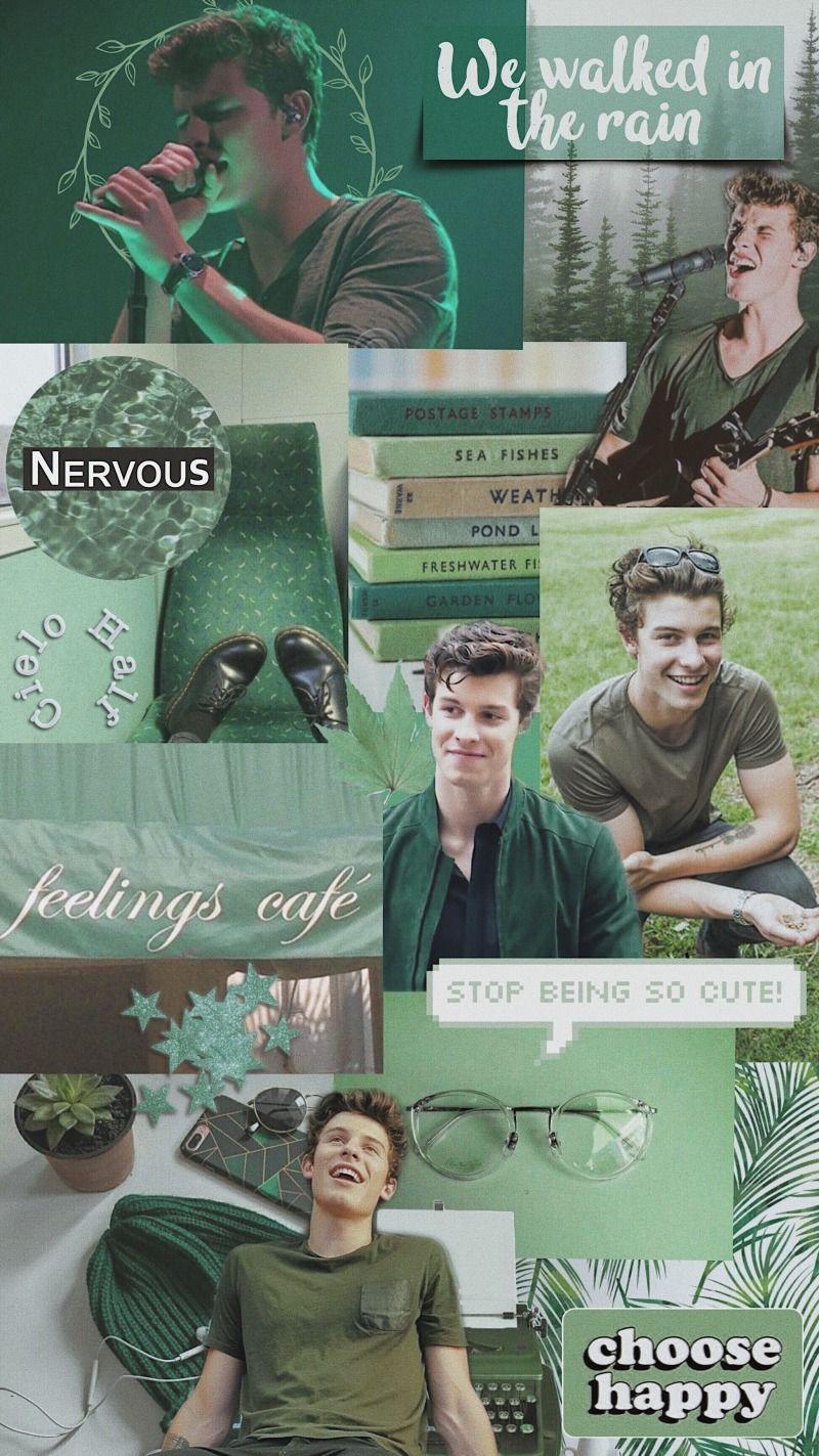 800x1423 Shawn Mendes aesthetic wallpaper green
