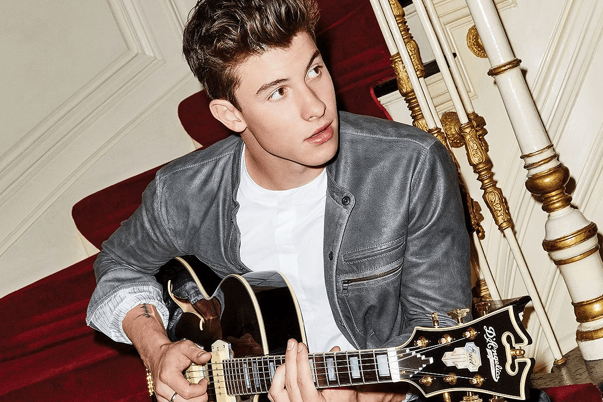 1200x800 Shawn Mendes Computer Wallpaper