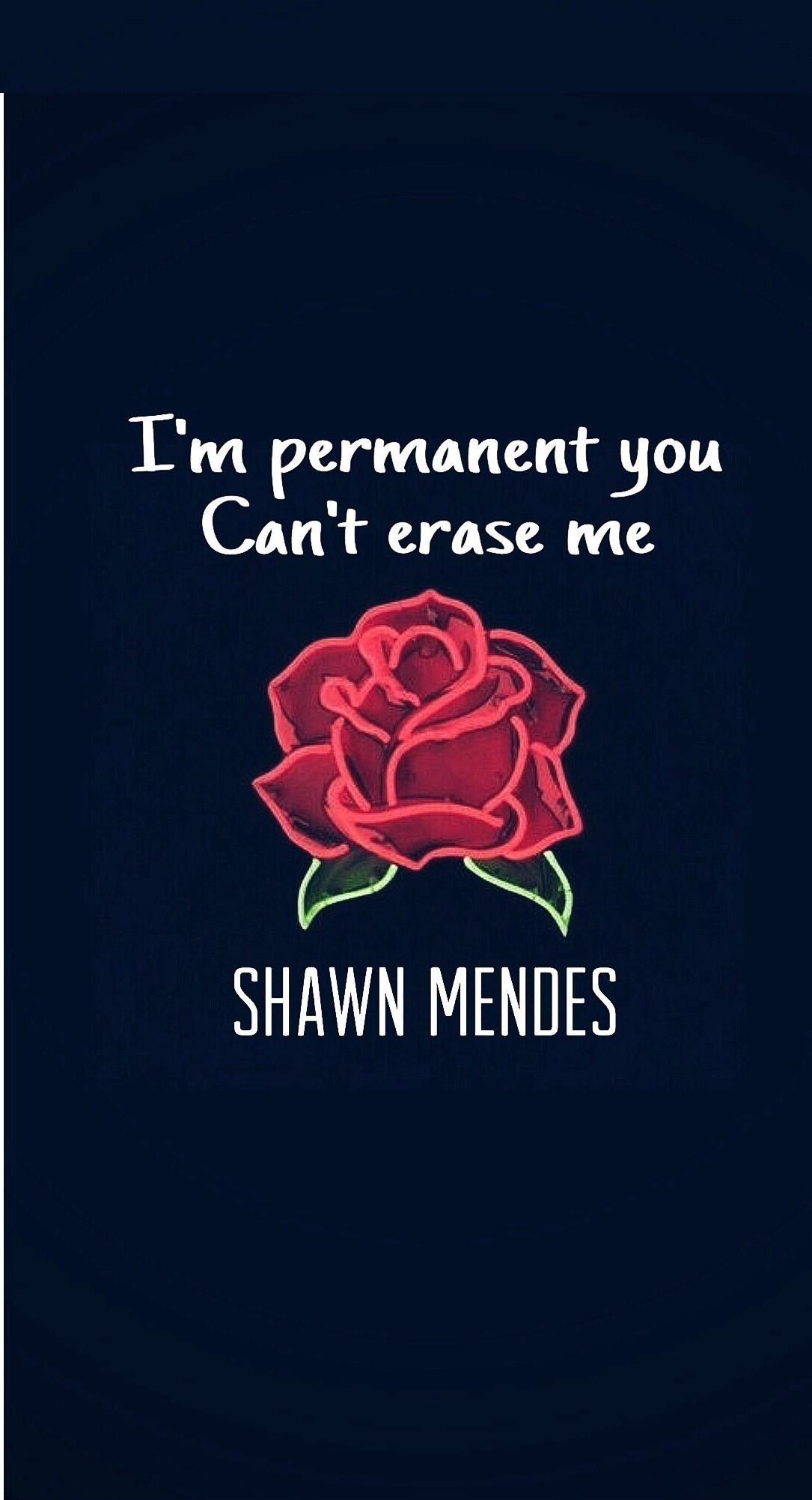 1085x2002 Shawn Mendes If I Can't Have You Wallpaper