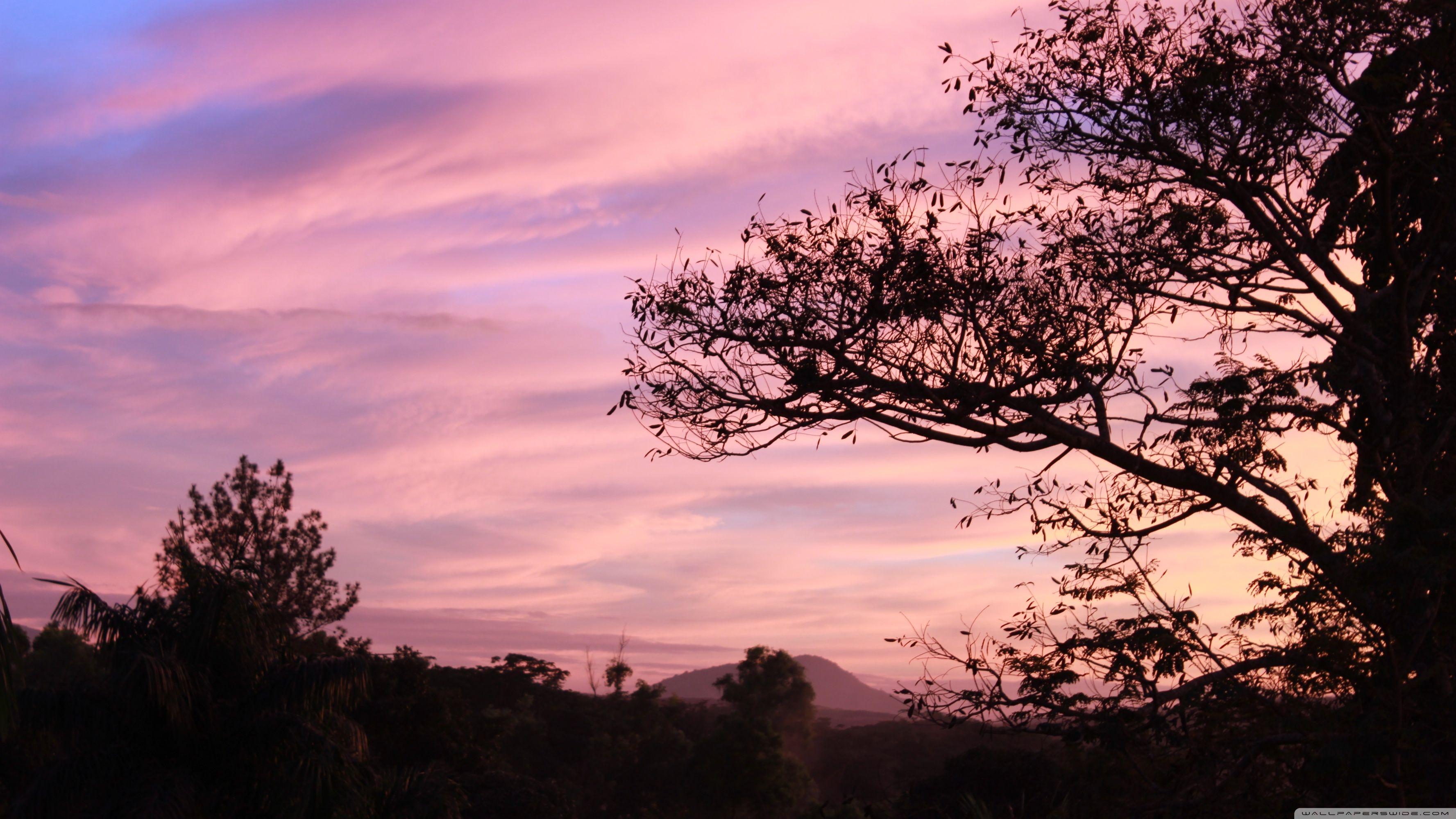 3554x1999 Purple Sky ❤ 4K HD Desktop Wallpaper for 4K Ultra HD TV • Wide