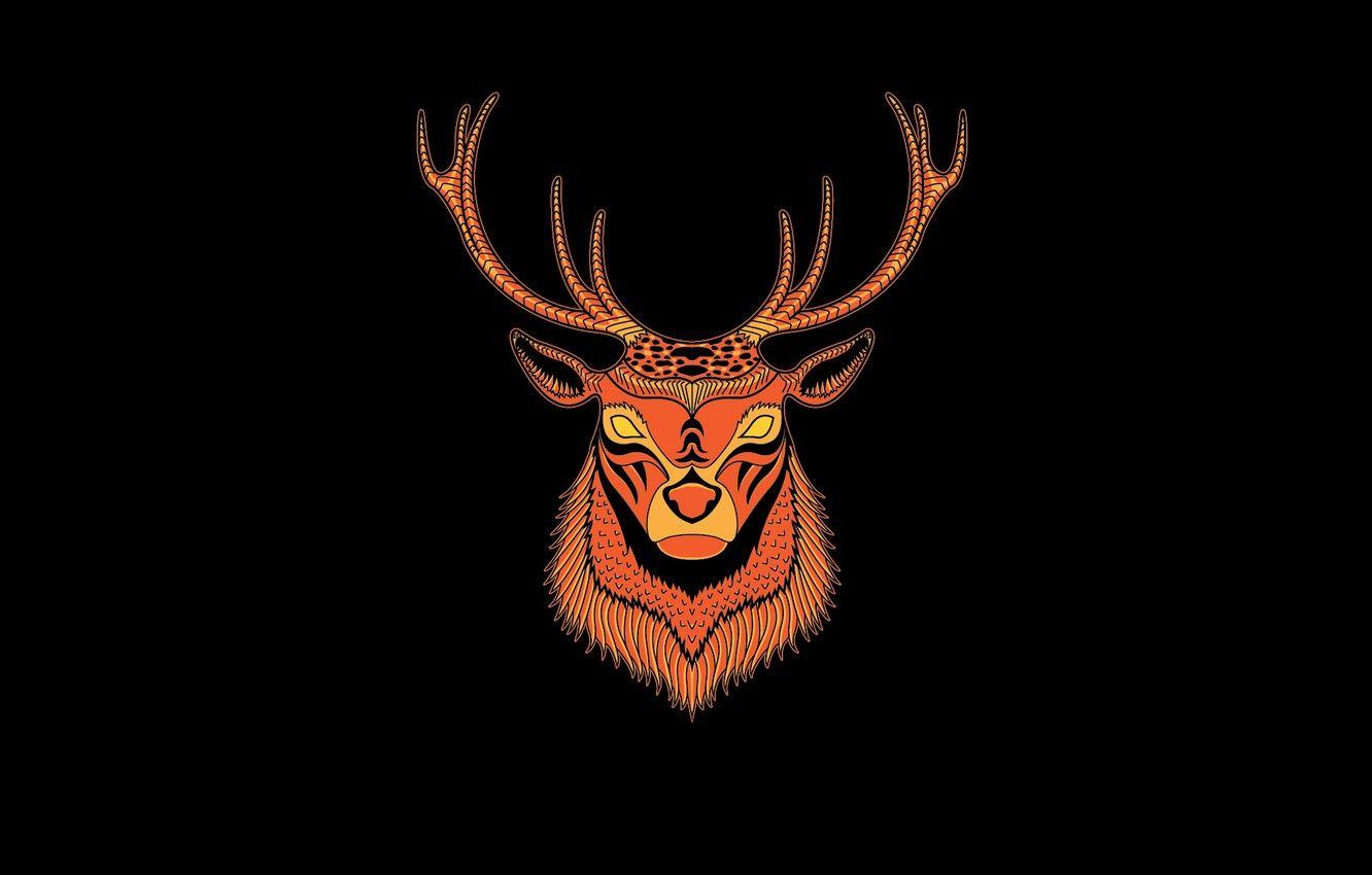 1332x850 Wallpaper minimalism, head, deer, horns, black background, deer image for desktop, section минимализм