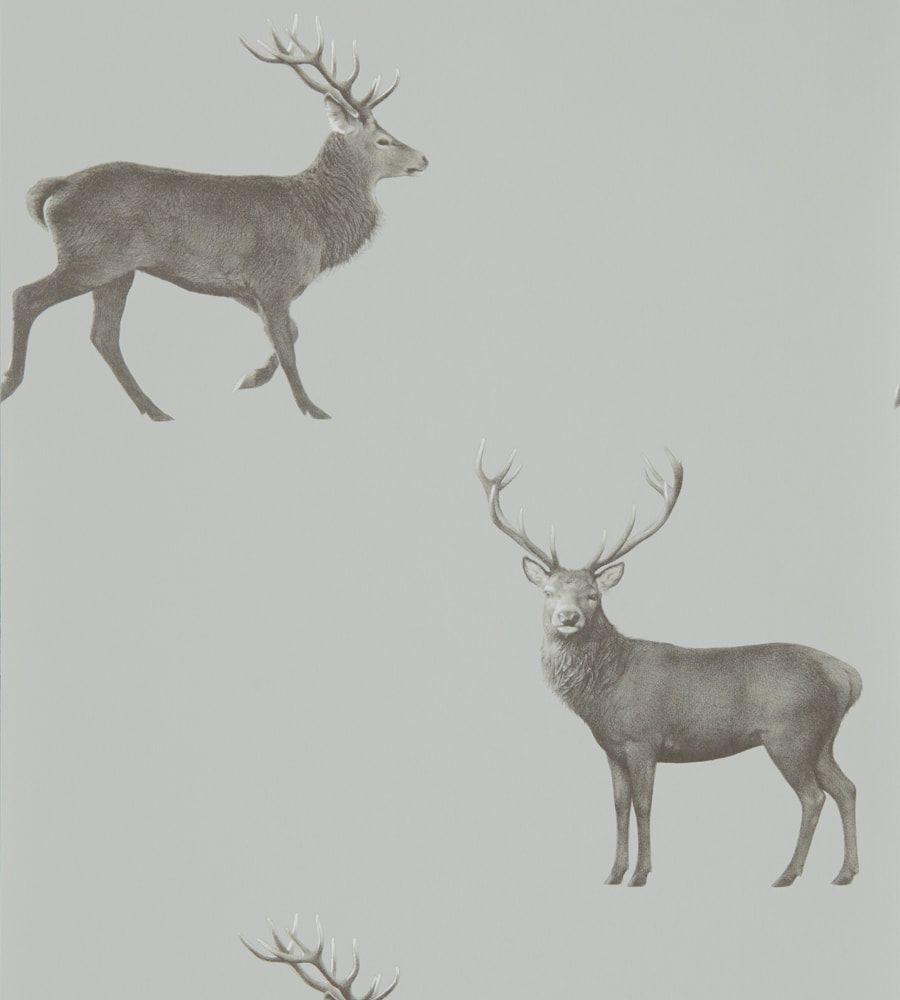 900x1000 Sanderson Deer Wallpaper