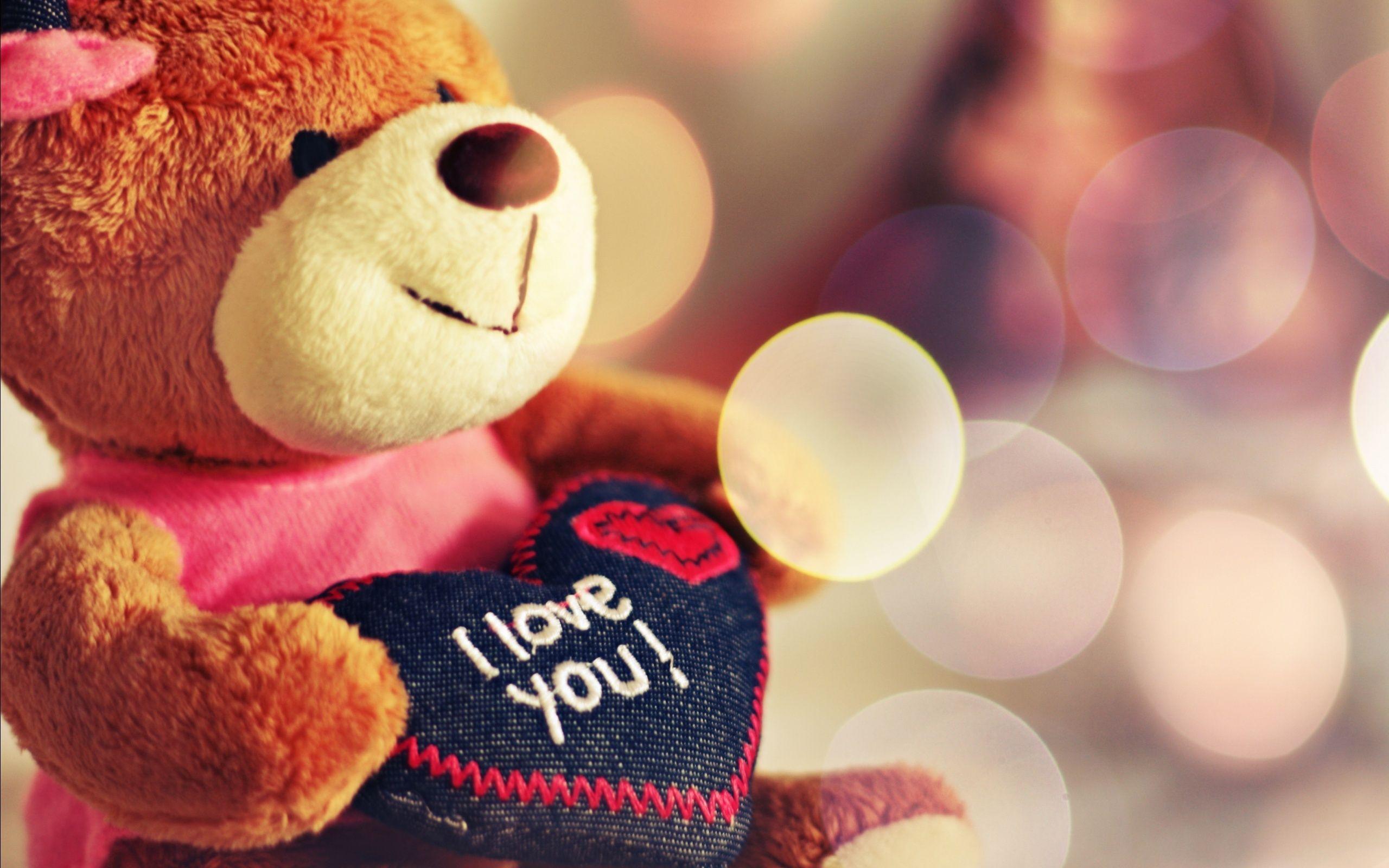 2560x1600 Big Cute Teddy Bear Gift Love Valentine Day Wa Wallpaper