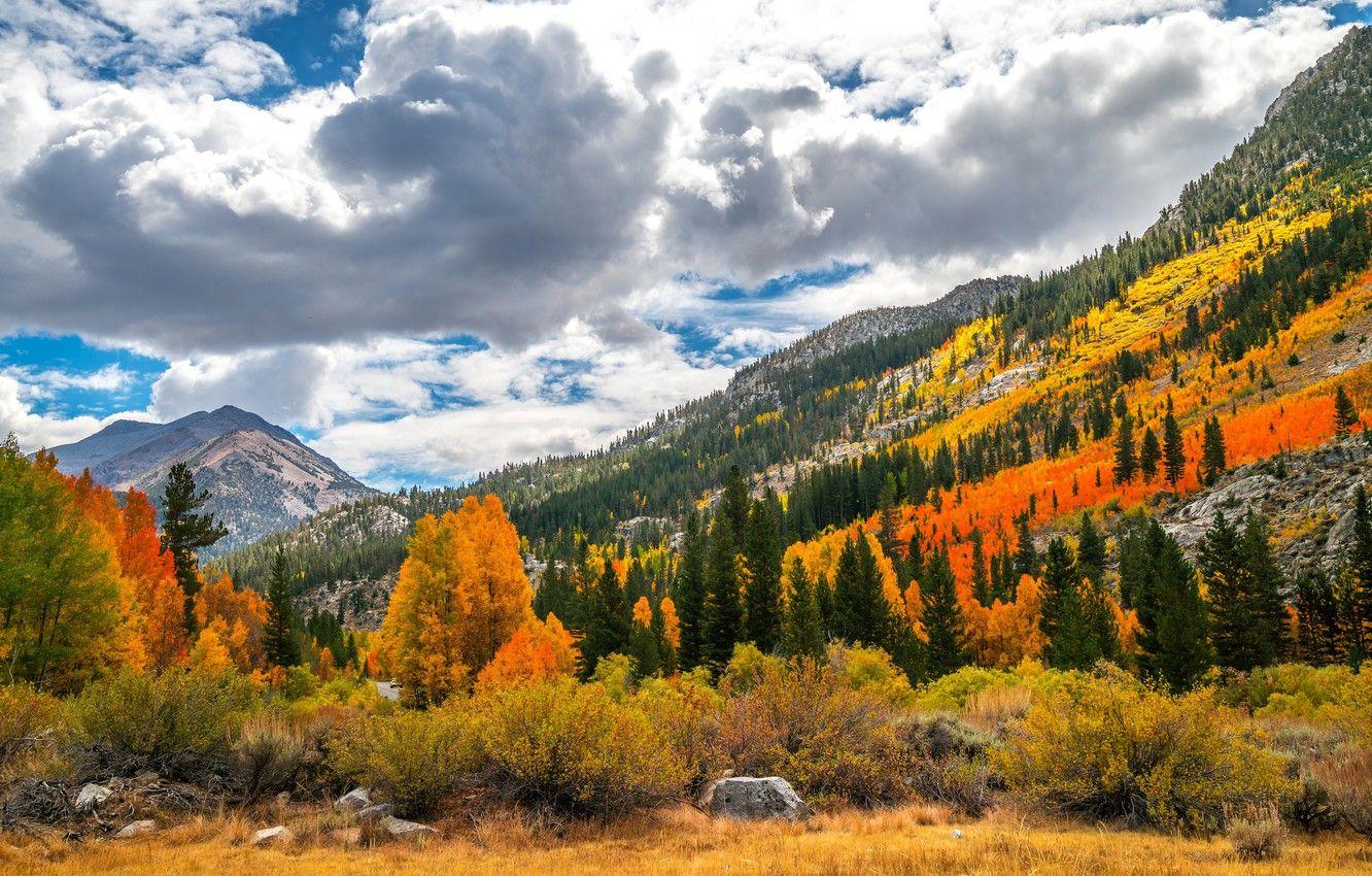1332x850 Wallpaper autumn, forest, the sky, grass, clouds, trees, landscape, mountains, nature, stones, hills, blue, vegetation, heaven, the slopes, tops image for desktop, section пейзажи
