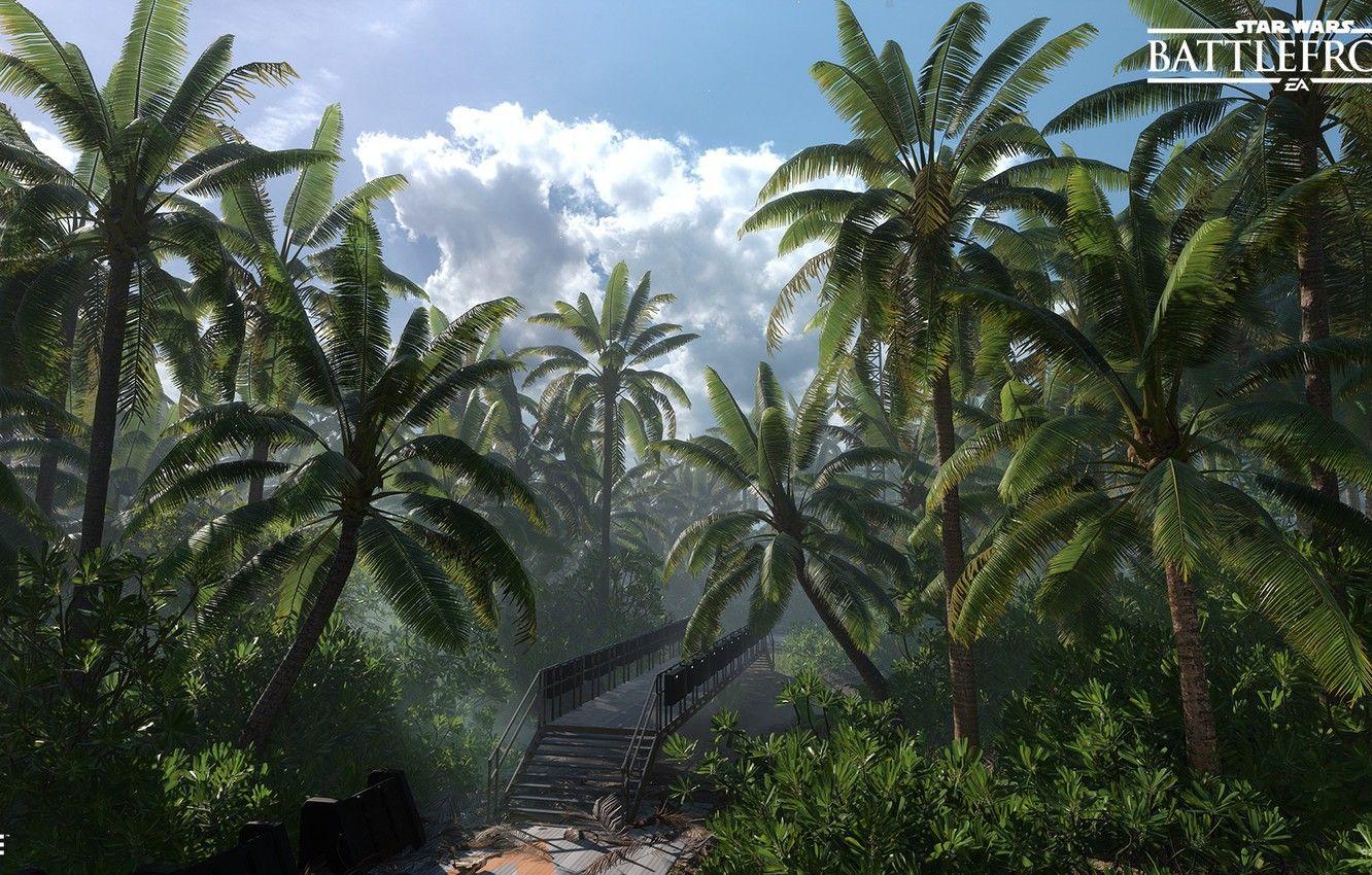 1332x850 Wallpaper forest, bridge, palm trees, Star Wars Battlefront, Scarif Vegetation image for desktop, section игры