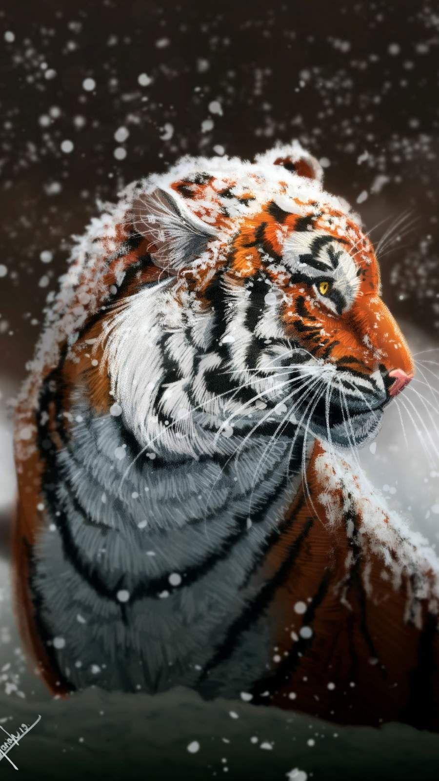 Siberian Tiger Wallpapers Top Free Siberian Tiger Backgrounds Wallpaperaccess