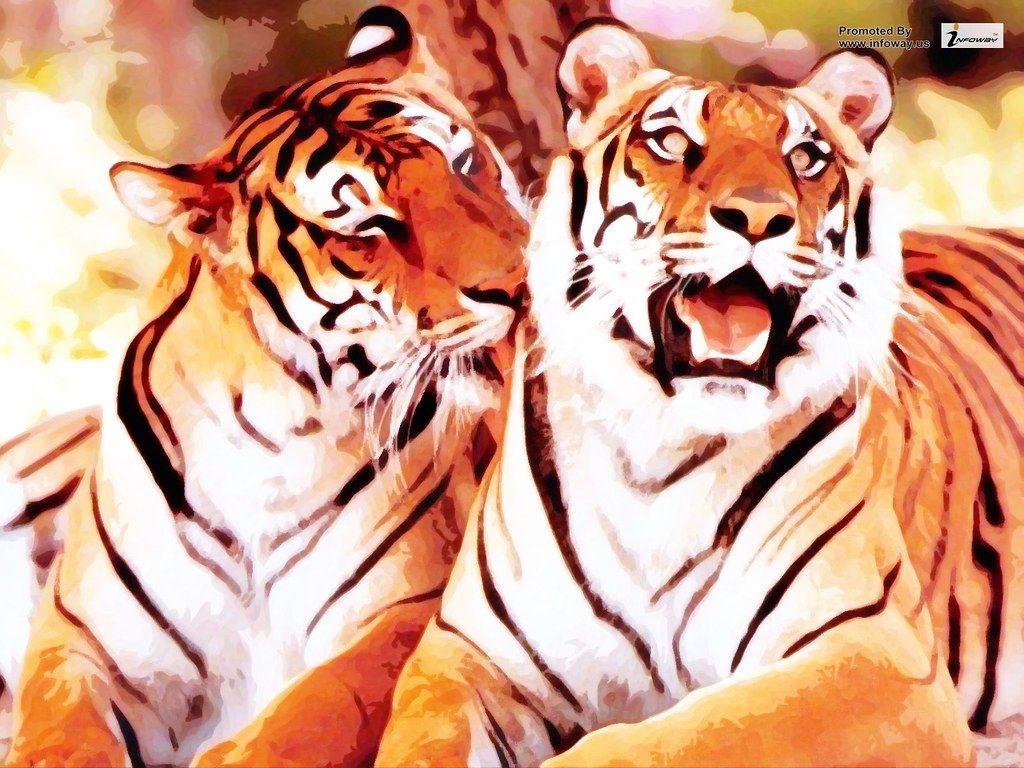 1024x768 Siberian tiger wallpaper. Siberian tiger wallpaper
