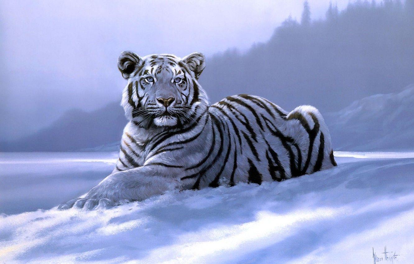 1332x850 Wallpaper tiger, art, Spencer Hodge, Siberian Tiger image for desktop, section кошки