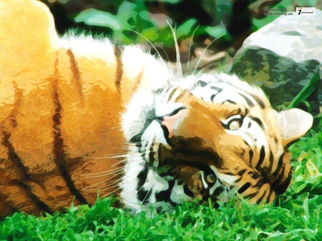 1024x768 Siberian tiger wallpaper. Siberian tiger wallpaper