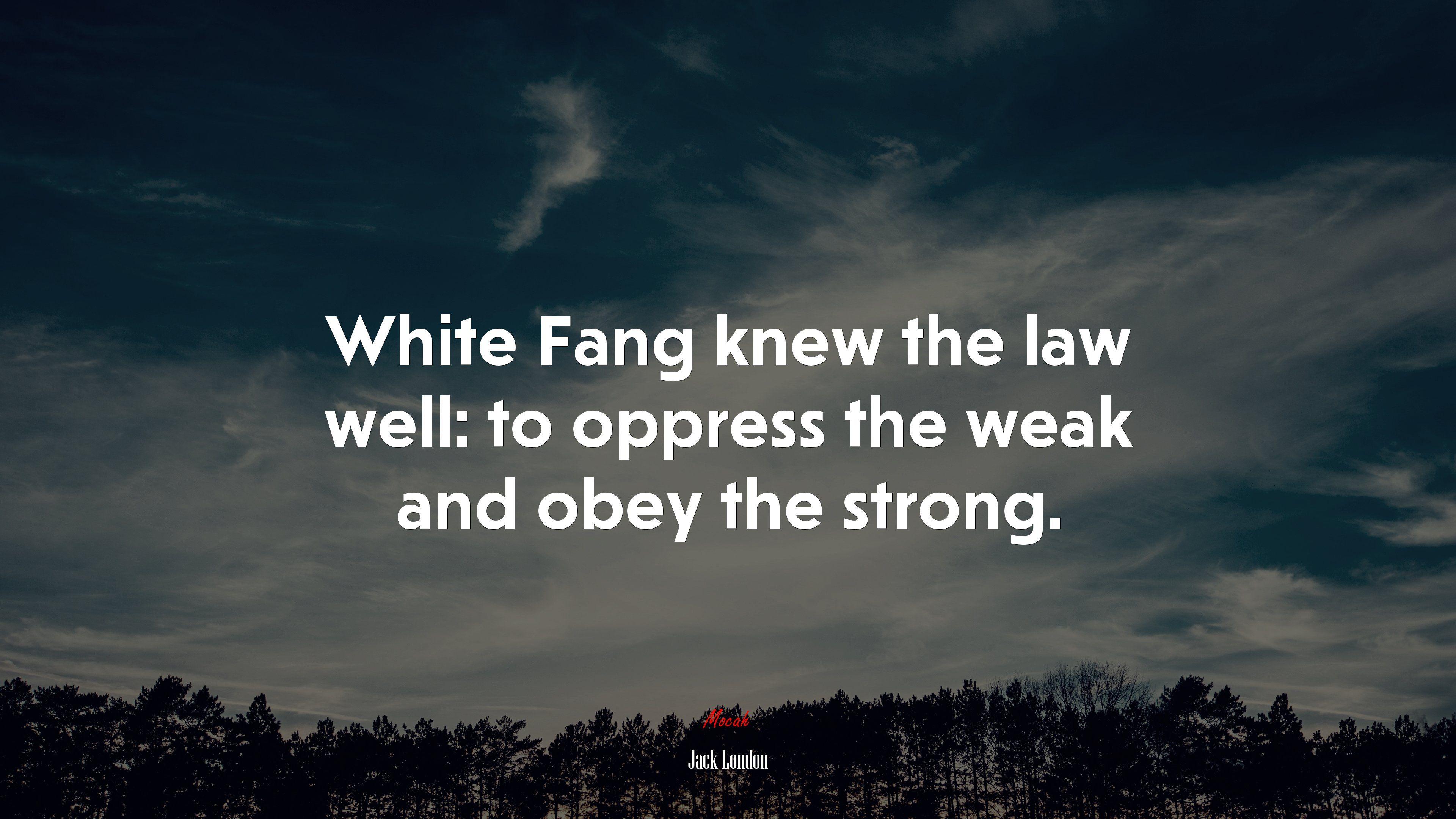 3840x2160 White Fang knew the law well: to oppress the weak and obey the strong. Jack London quote, 4k wallpaper. Mocah.org HD Desktop Wallpaper