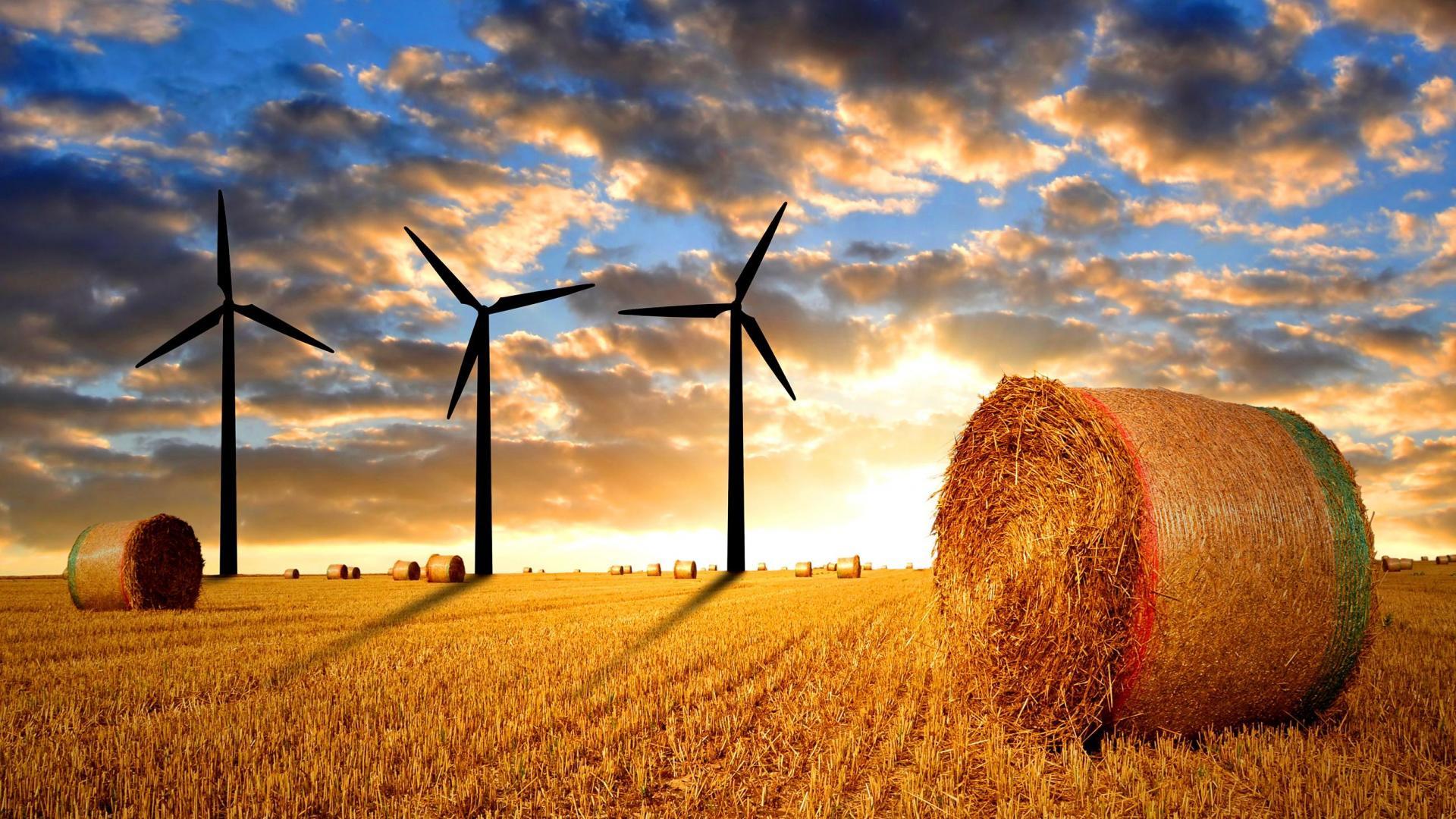 1920x1080 Methods to resolve conflicts between energy production and nature conservation (Constantine Alexander's Journal)
