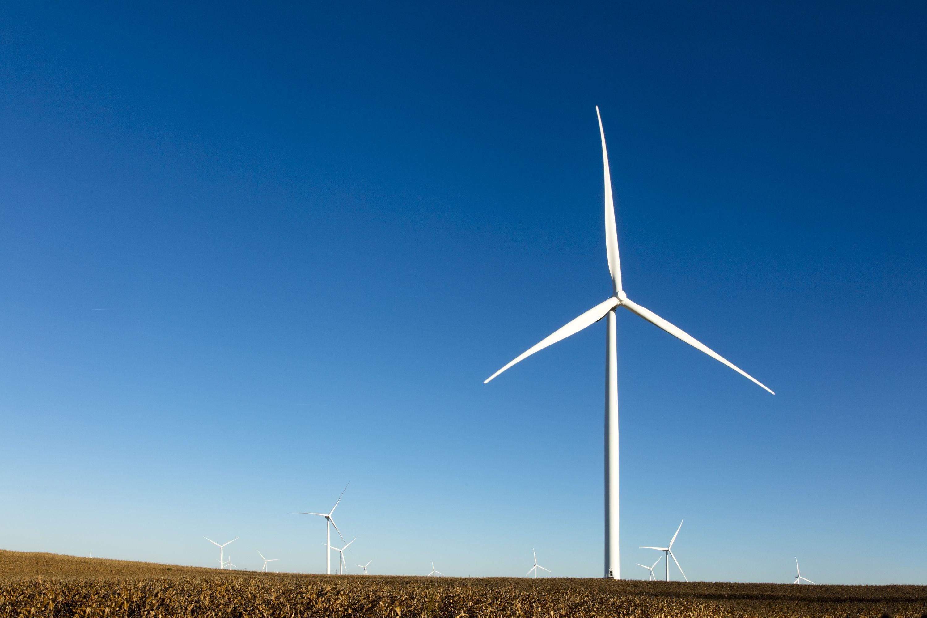 3000x2000 Will Donald Trump Blow Warren Buffett's Clean Energy Bet Off Course?