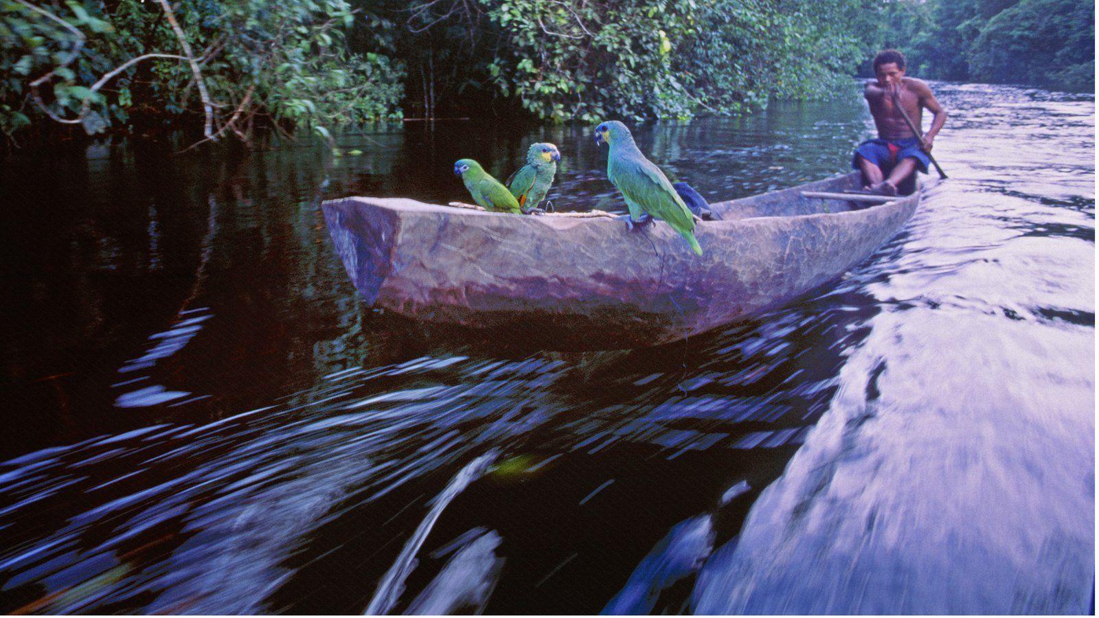 1600x900 Guyana