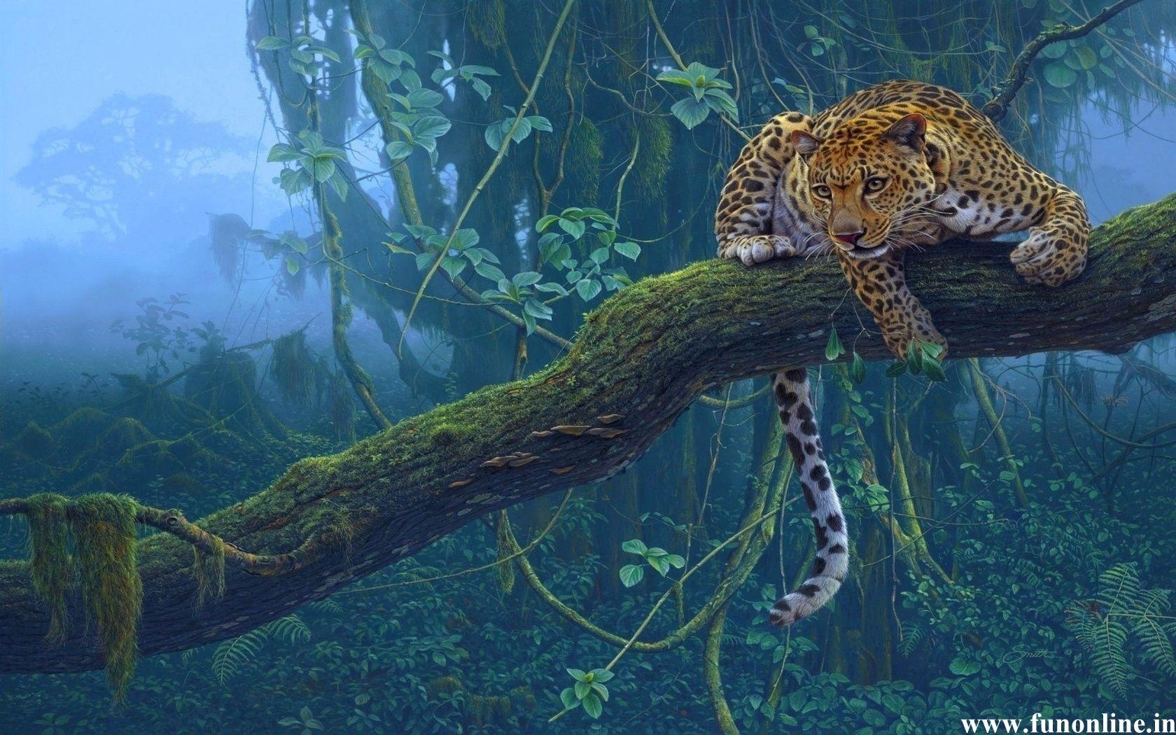 1680x1050 Free download Leopard Wallpaper Beautiful Leopards HD Wallpaper Download [1680x1050] for your Desktop, Mobile & Tablet. Explore HD Leopard Wallpaper. Snow Leopard HD Wallpaper, Leopard Wallpaper, Snow Leopard Wallpaper 1080p