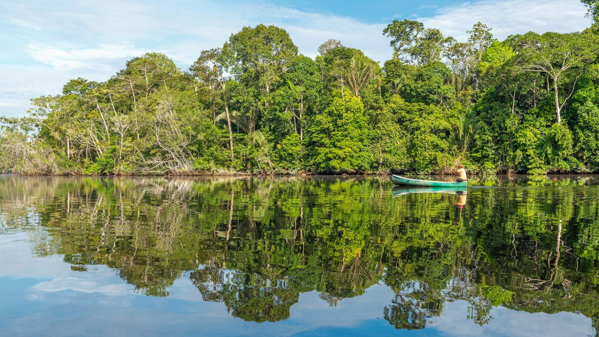 1920x1080 Guyana into the Land of the Giants