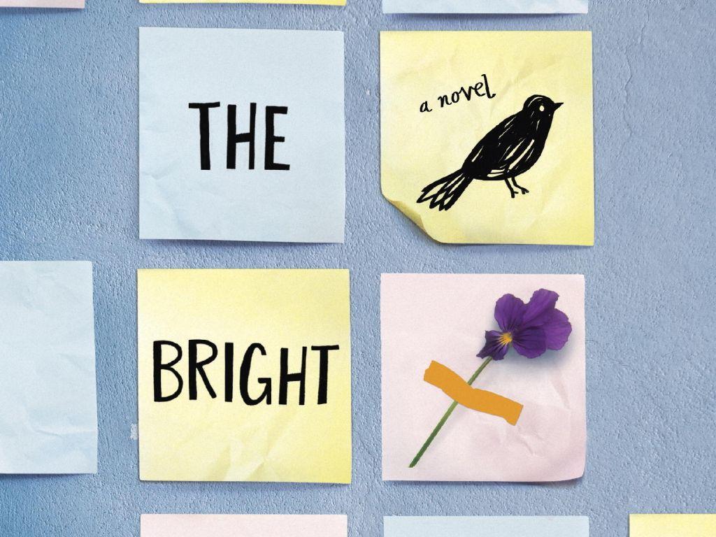1024x768 My Thoughts On All The Bright Places