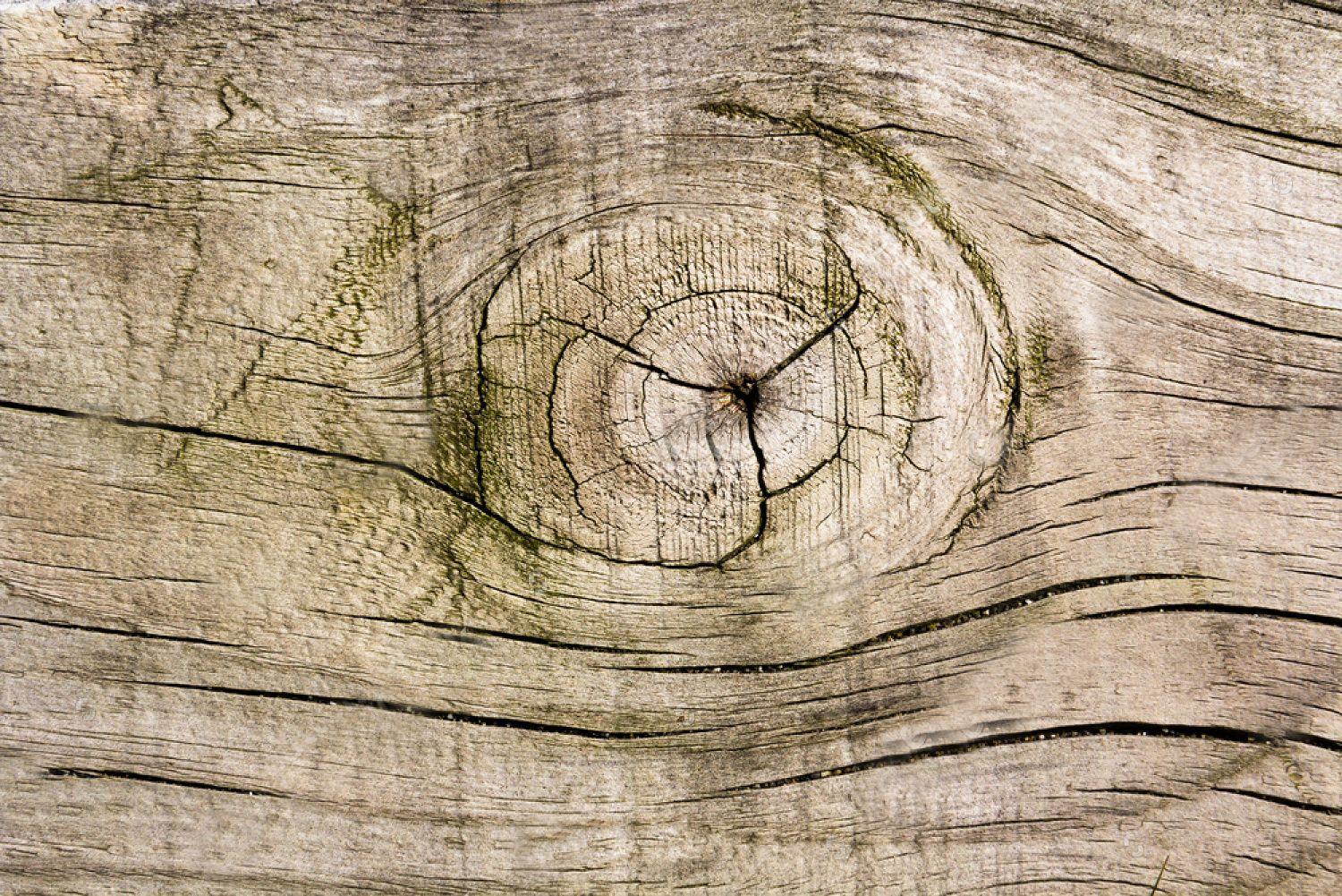 1500x1001 Wallpaper, Vinyl, Self Adhesive, Old painted Wood Texture Forest