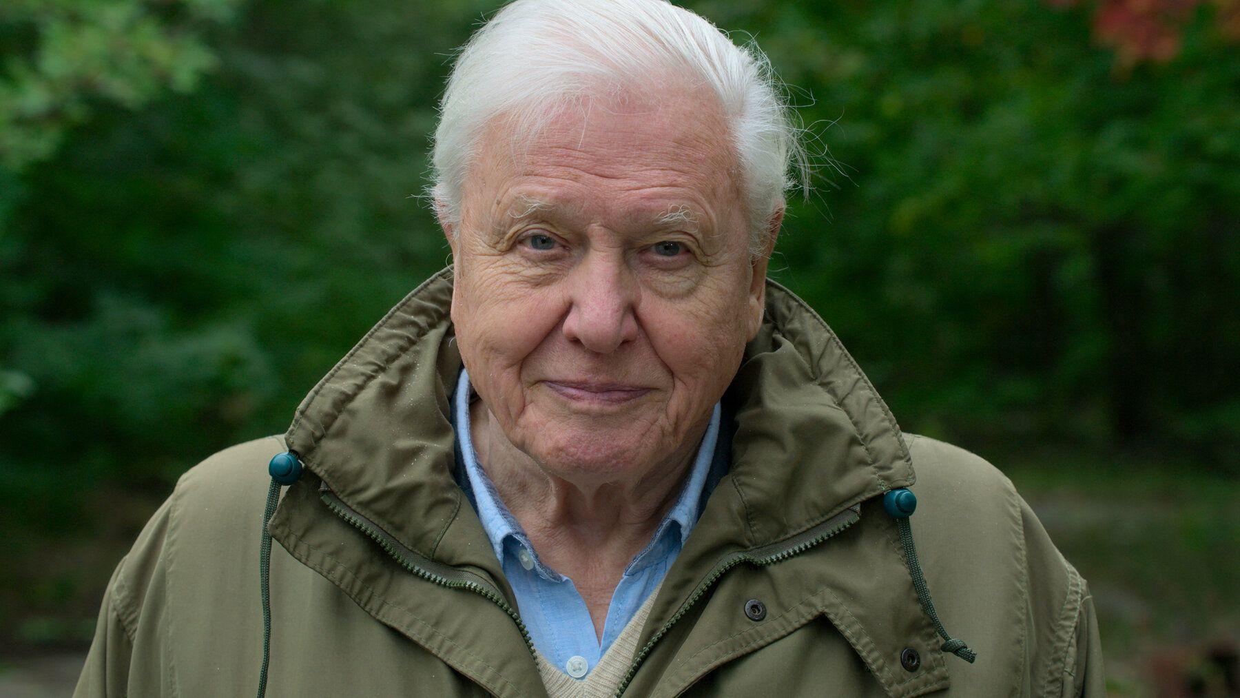David Attenborough: A Life On Our Planet Wallpapers Top Free David