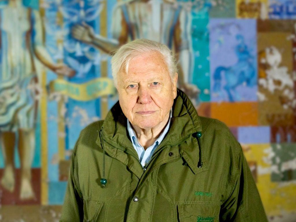 1024x768 David Attenborough Urges People To Ditch Meat In New Film