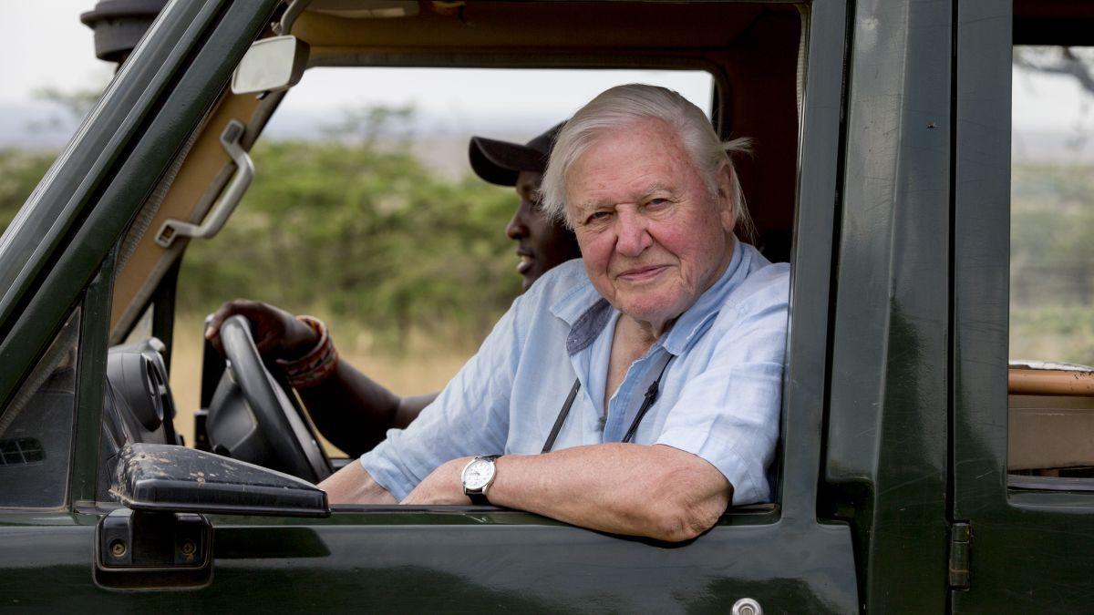 1200x675 David Attenborough: A Life on Our Planet' review: The naturalist offers his climate change 'witness statement' in Netflix special