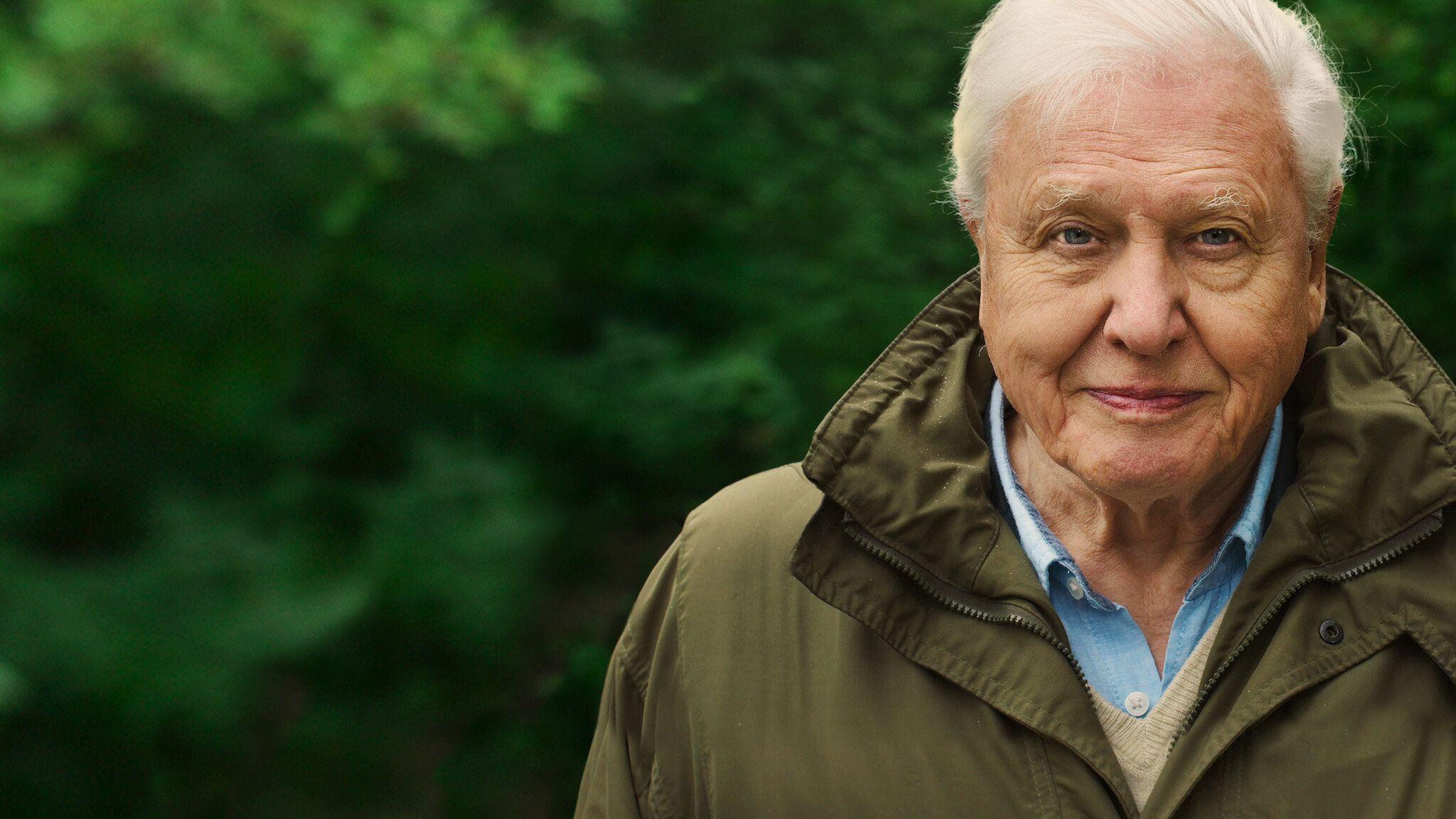 2048x1152 Watch On Netflix: David Attenborough: A Life on Our Planet