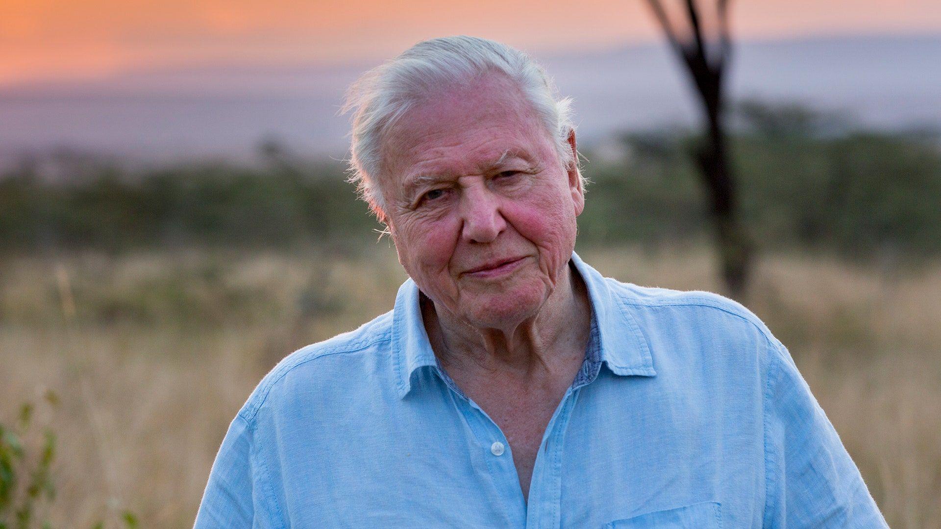 1920x1080 The new David Attenborough film has been postponed