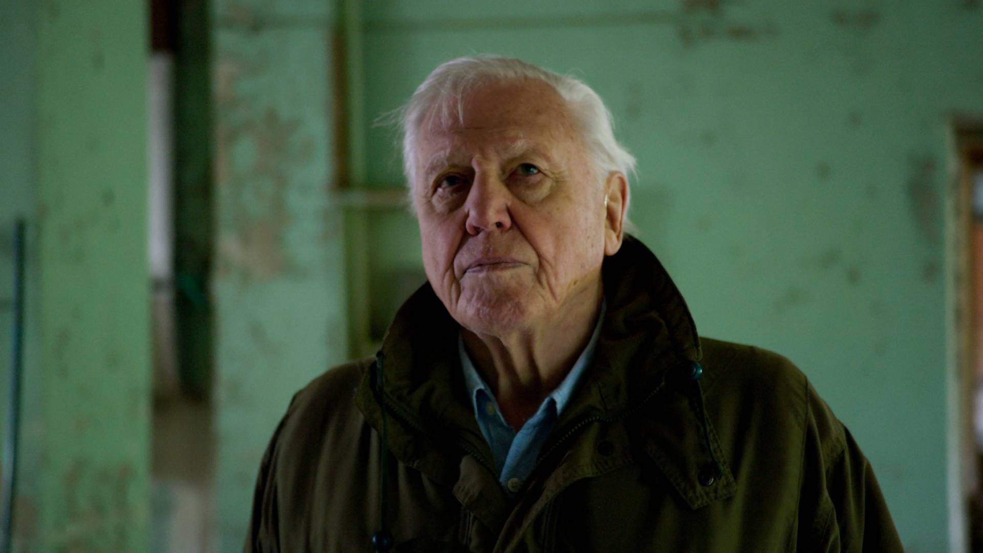 1920x1080 David Attenborough: A Life On Our Planet' News Page VIDEO
